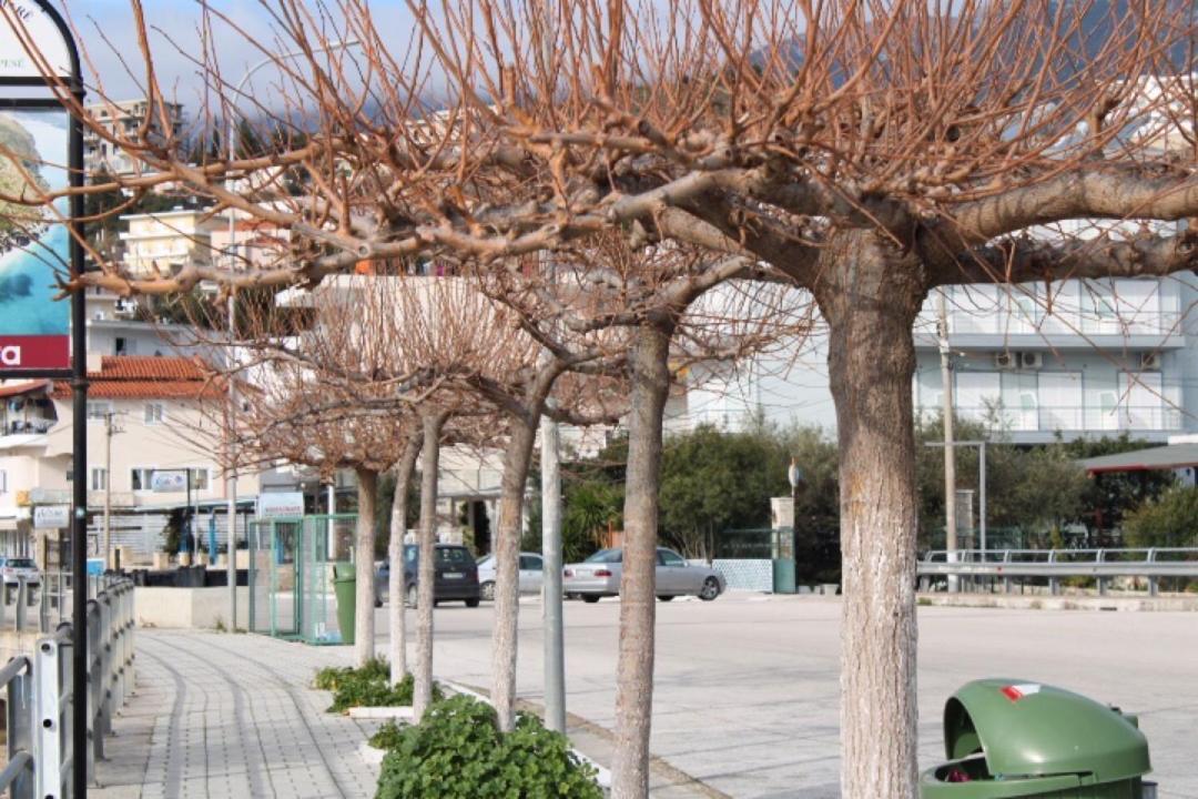 Hotel Portokali Himare Exterior foto